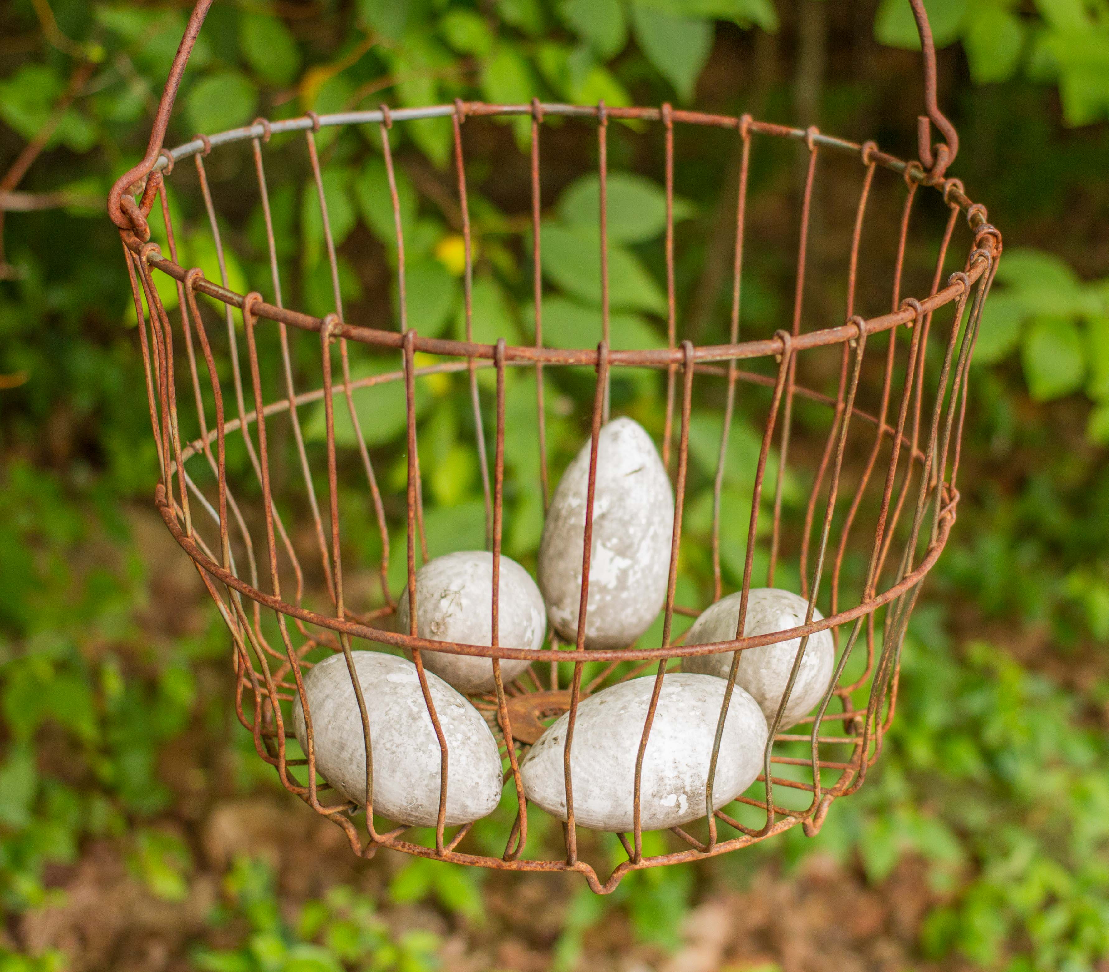 Egg Shaped Stones in Wire Basket