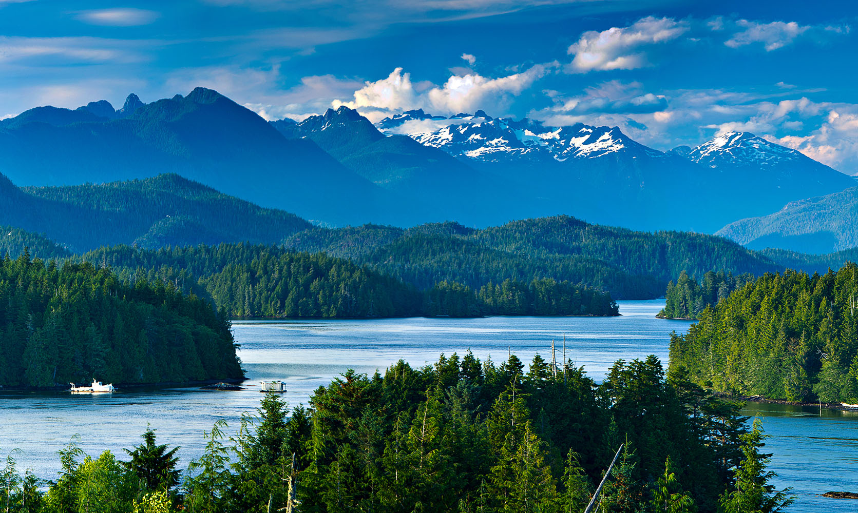 Tofino